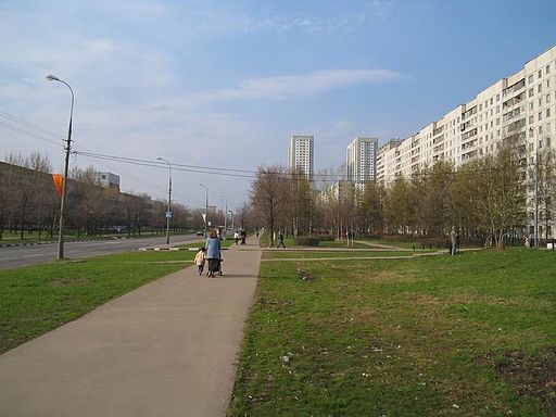Улица Дубнинская
