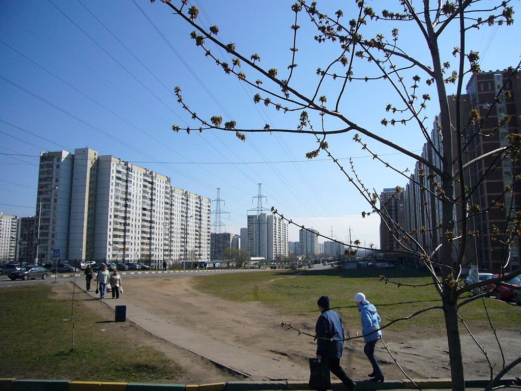 Улица Кантемировская Царицыно - район, индекс, метро в Москве